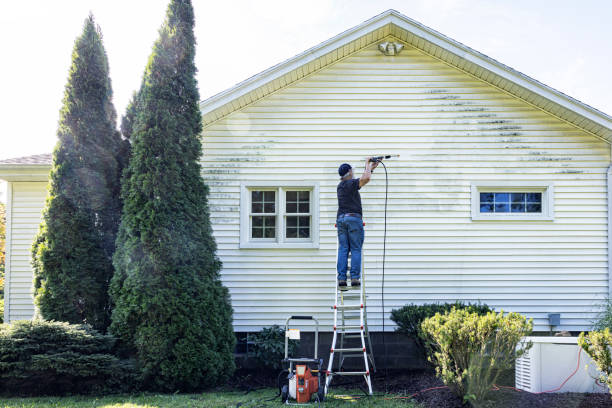 Best Roof Pressure Washing  in Plum Grove, TX